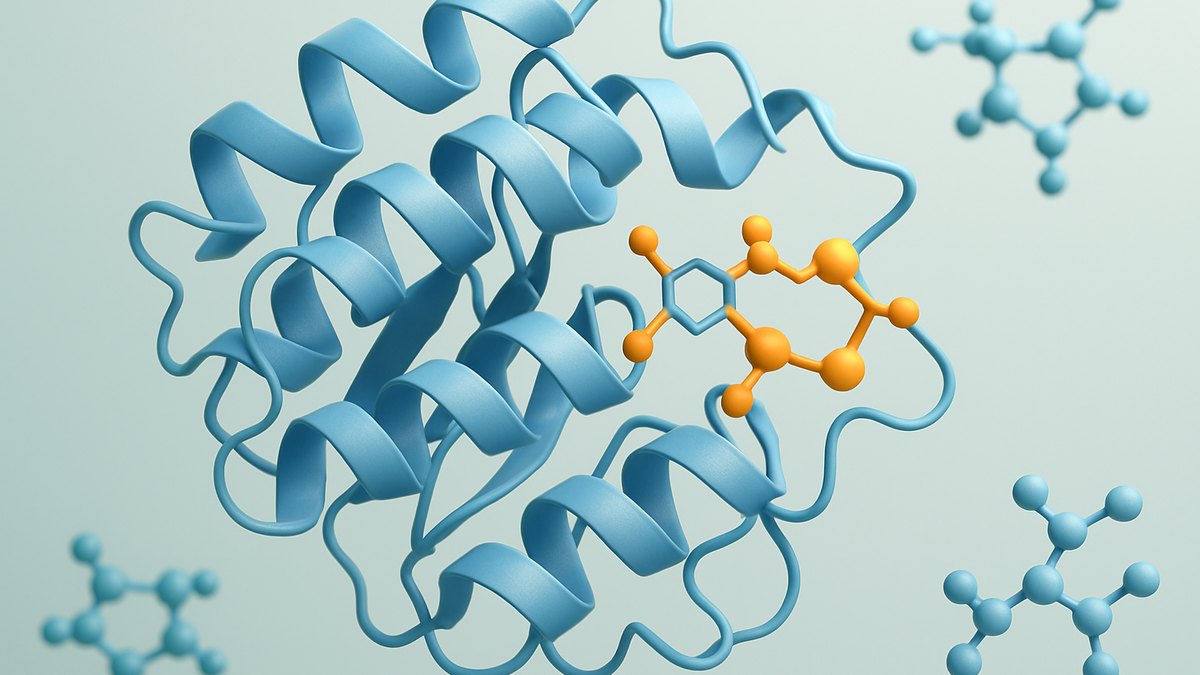 5-amino-1mq dosage — Vialology