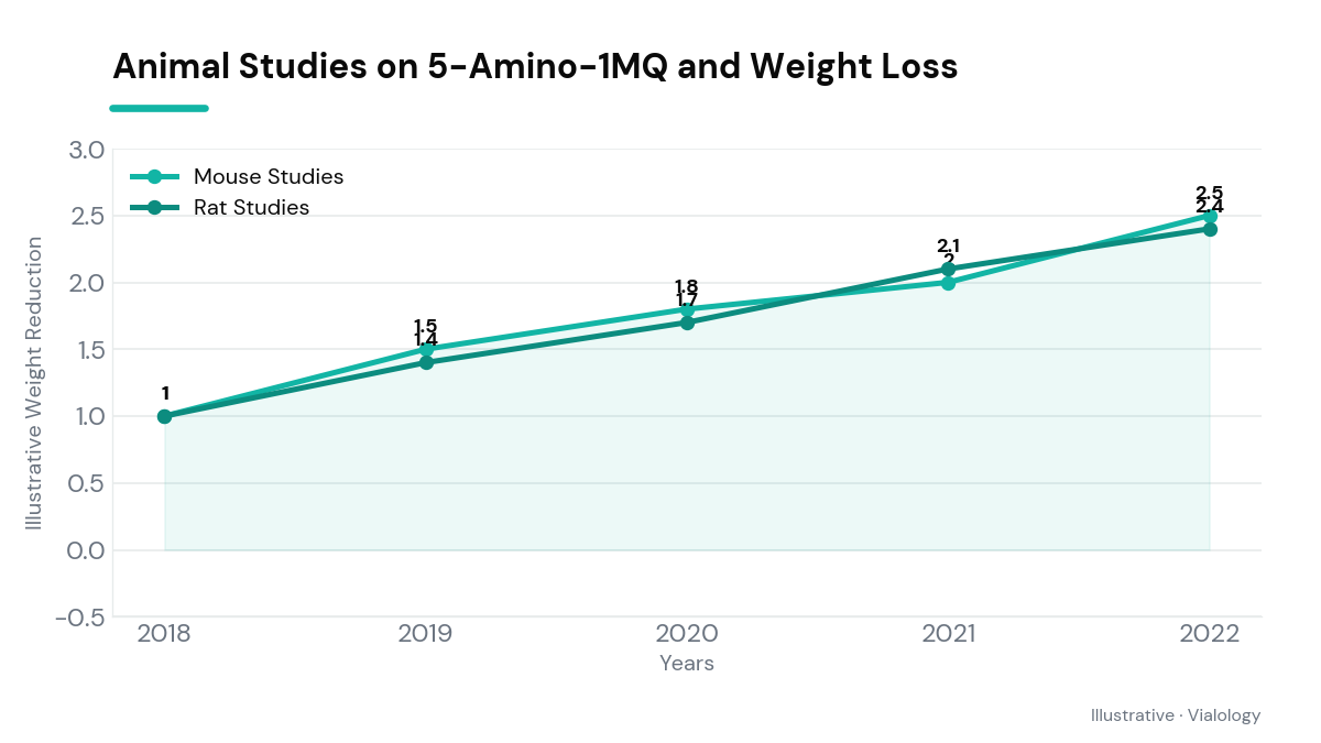 A timeline of animal studies on 5-Amino-1MQ with weight loss outcomes.