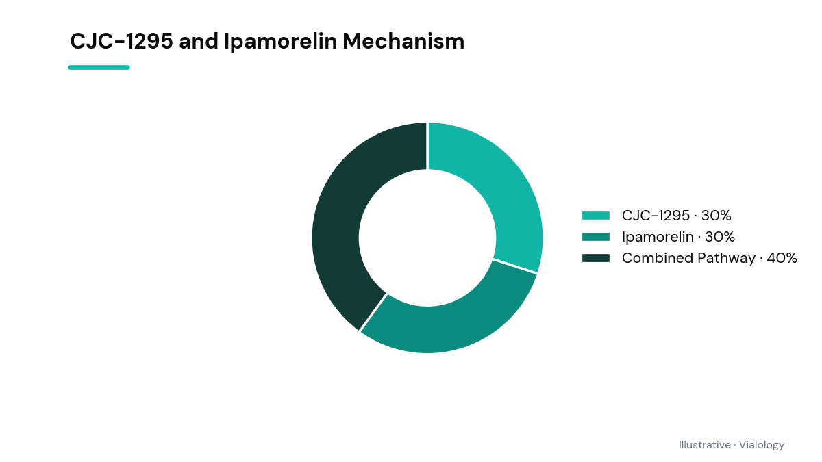 Conceptual diagram illustrating the synergistic action of CJC-1295 and Ipamorelin.