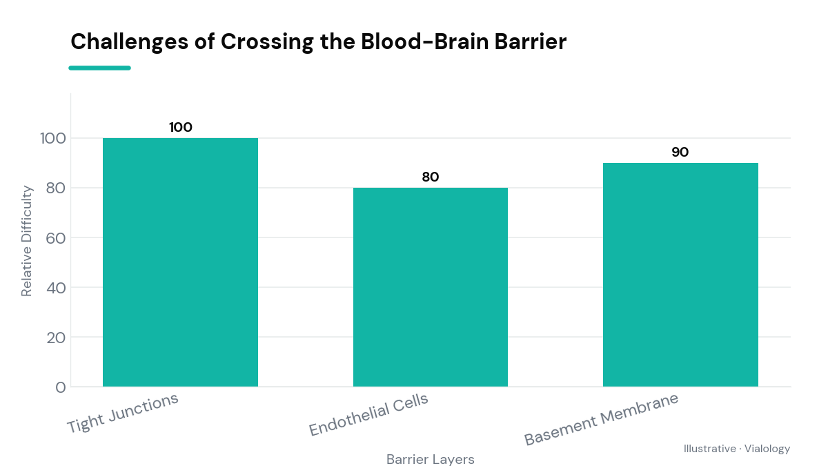 Illustration showing the blood-brain barrier and Dihexa crossing it.