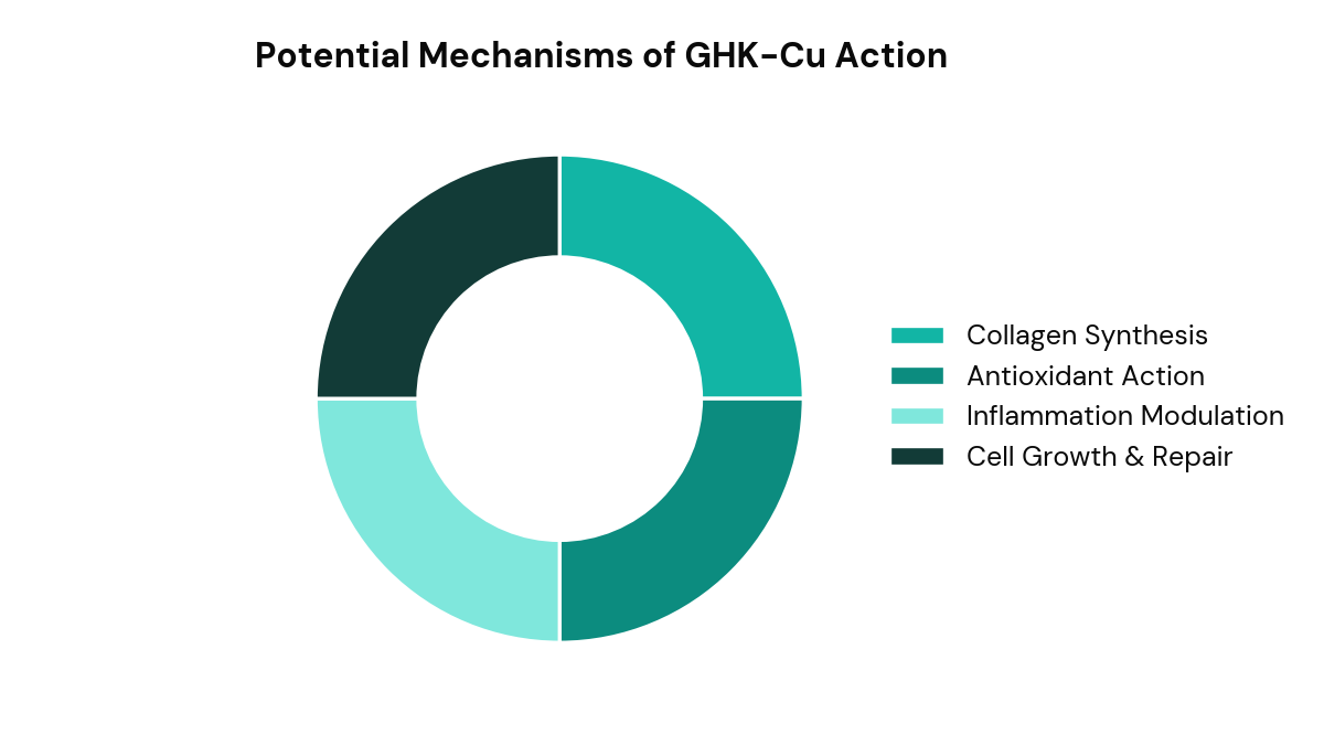 Diagram illustrating potential biochemical pathways for GHK-Cu.