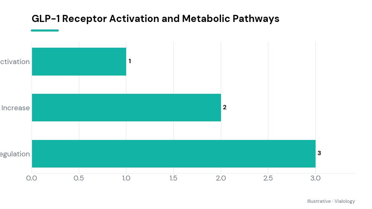 A conceptual diagram illustrating the signaling process of GLP-1. It starts with receptor activation, leading to increased cAMP levels and resulting in regulated glucose metabolism.