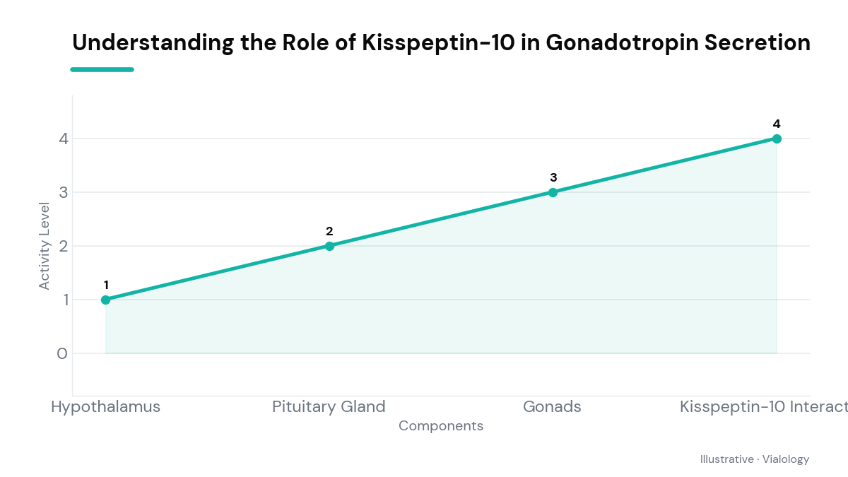 Diagram showing Kisspeptin-10's function in HPG axis