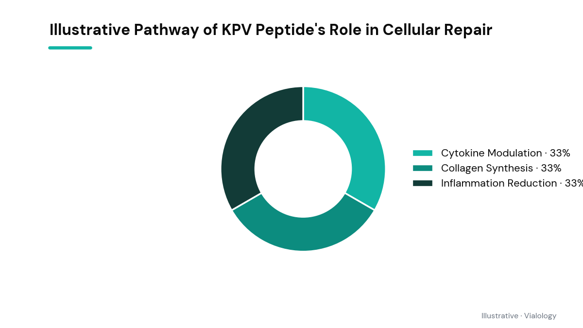 Diagram showing KPV peptide in cellular repair pathways conceptualized.