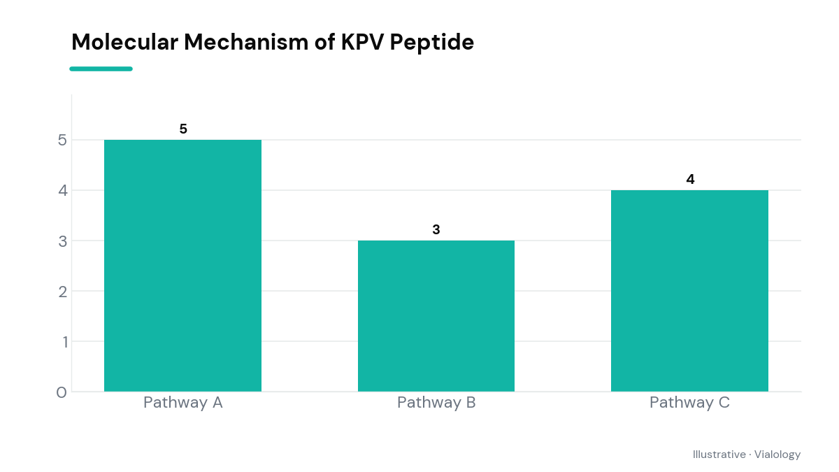 Diagram showing the molecular mechanism of KPV peptide