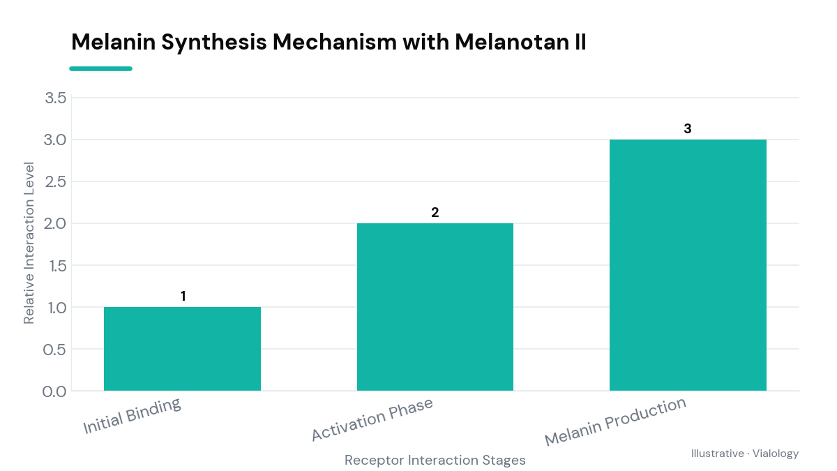 A conceptual diagram showing Melanotan II's interaction with receptors in the melanin synthesis pathway.