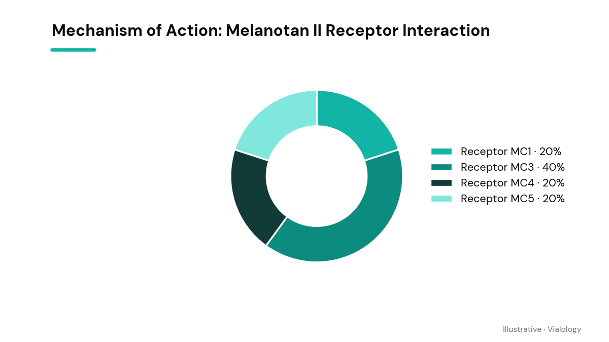 A diagram showing Melanotan II interacting with melanocortin receptors