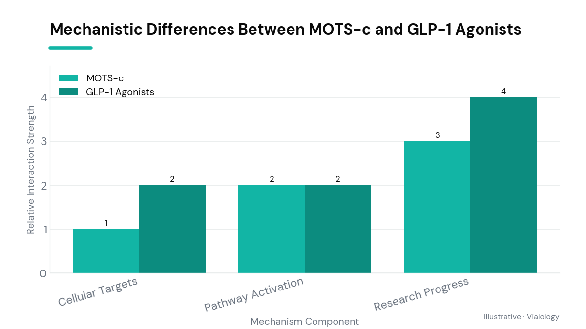 Diagram showing MOTS-c acting on mitochondria and GLP-1 acting on cell receptors.