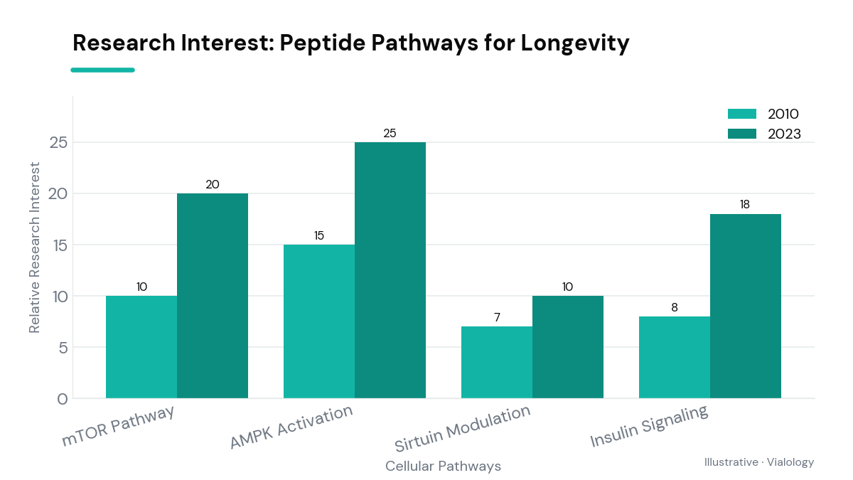 Grouped bar chart showing research interest in cellular pathways targeted by peptides for longevity