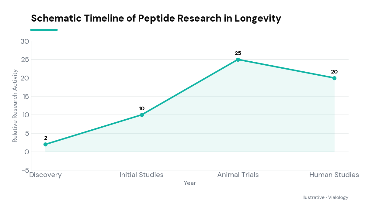 Line chart showing key milestones in peptide research for longevity