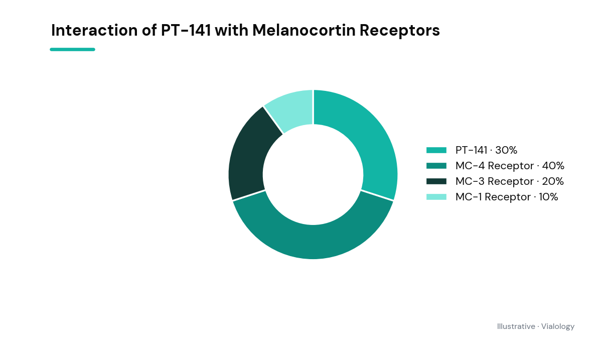 A schematic illustration of PT-141 interaction with Melanocortin receptors