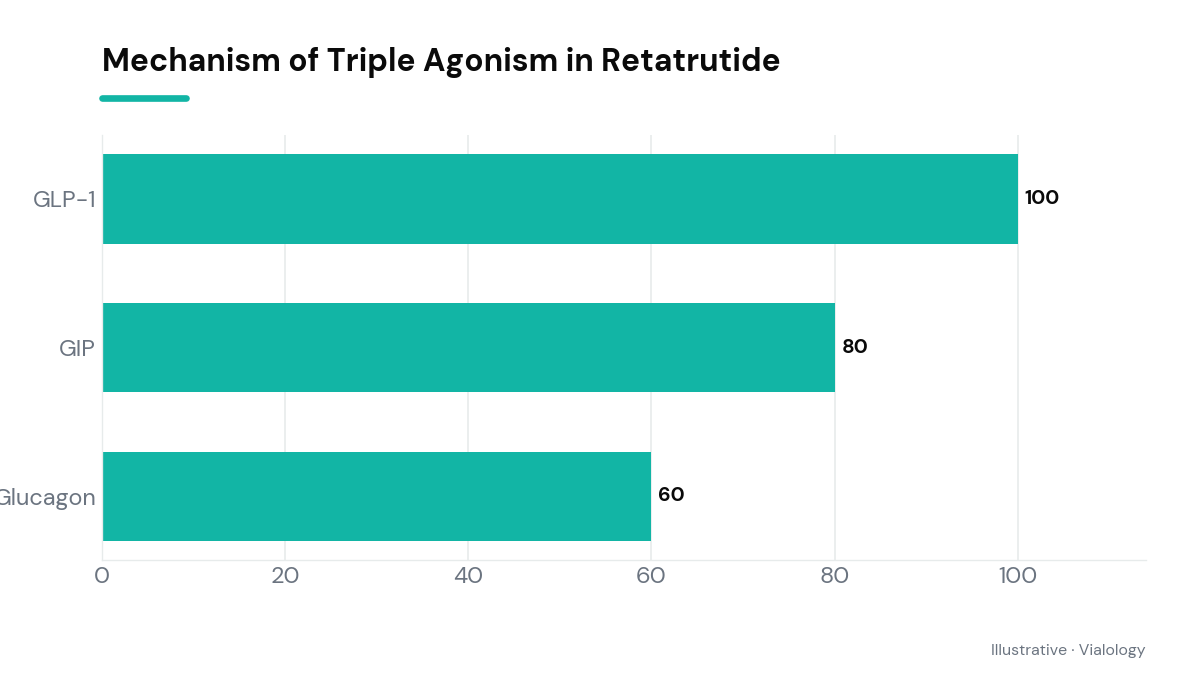 Conceptual diagram of Retatrutide's triple agonism mechanism on receptors.