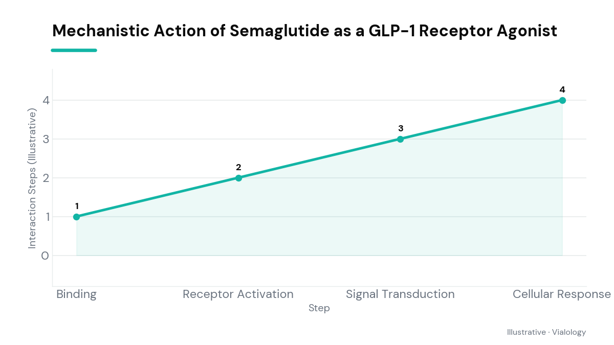 Conceptual diagram of Semaglutide's mechanism of action