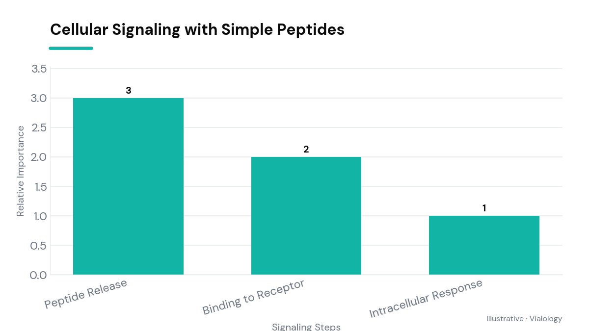 Diagram showcasing how simple peptides act as cellular messengers in biological signaling pathways.