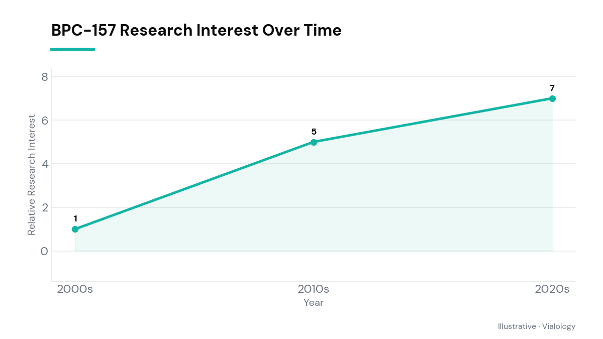 A chart showing the progressive research interest in BPC-157 across study stages from initial discovery to recent studies.