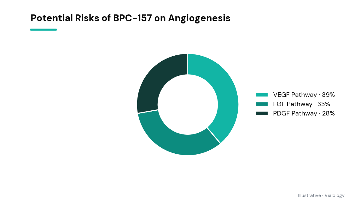 Diagram illustrating pathways of BPC-157 on angiogenesis.