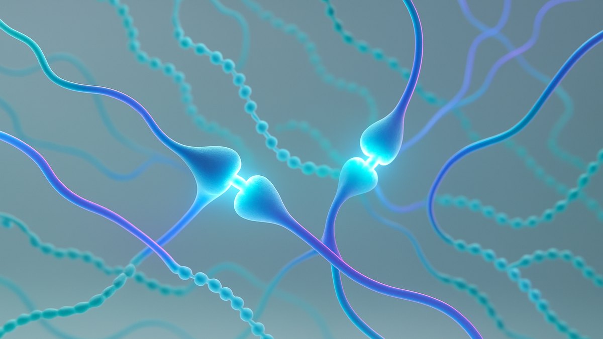 Cognitive Research Peptides Beyond Semax and Selank: What Else Is Being Studied — Vialology