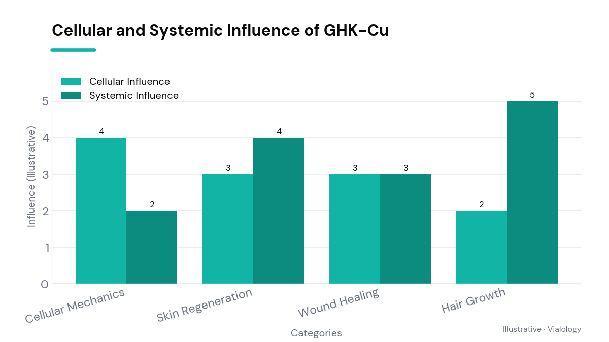Diagram showing cellular mechanics and systemic impacts of GHK-Cu peptide.