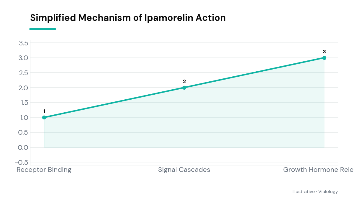 Diagram showing Ipamorelin's interaction with receptors in animal research models.