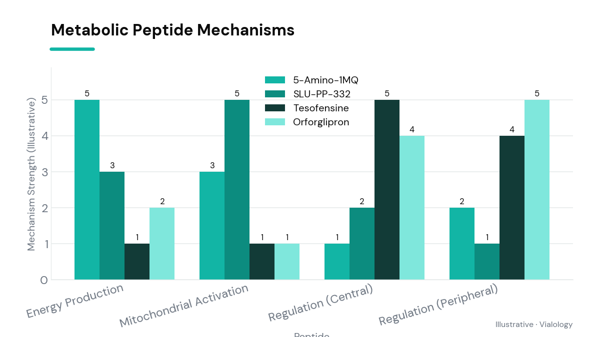 Conceptual diagram highlighting the action mechanisms of different metabolic peptides.