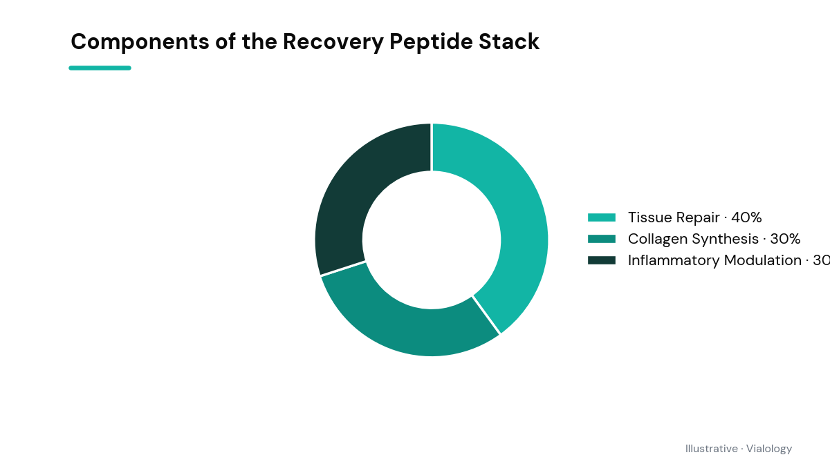 Schematic illustrating the qualitative roles of BPC-157, TB-500, and GHK-Cu in recovery peptide stacks.