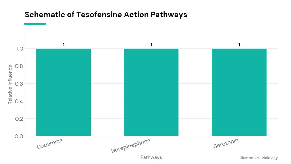Diagram showing potential pathways influenced by Tesofensine in research.
