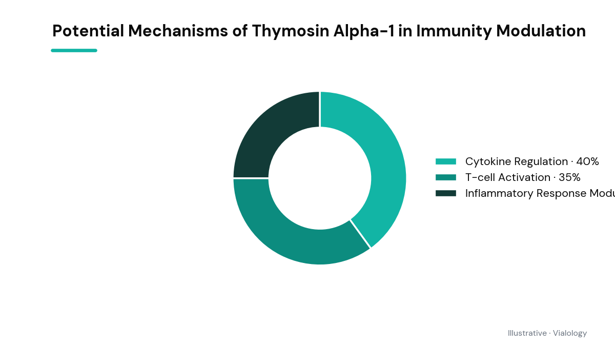 Conceptual diagram showing hypothetical mechanisms of Thymosin Alpha-1 in enhancing immune function.