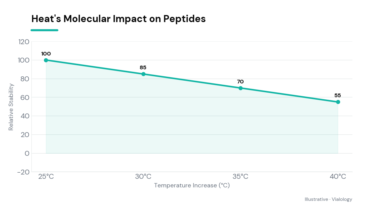 Diagram illustrating peptide chain destabilization with heat exposure.