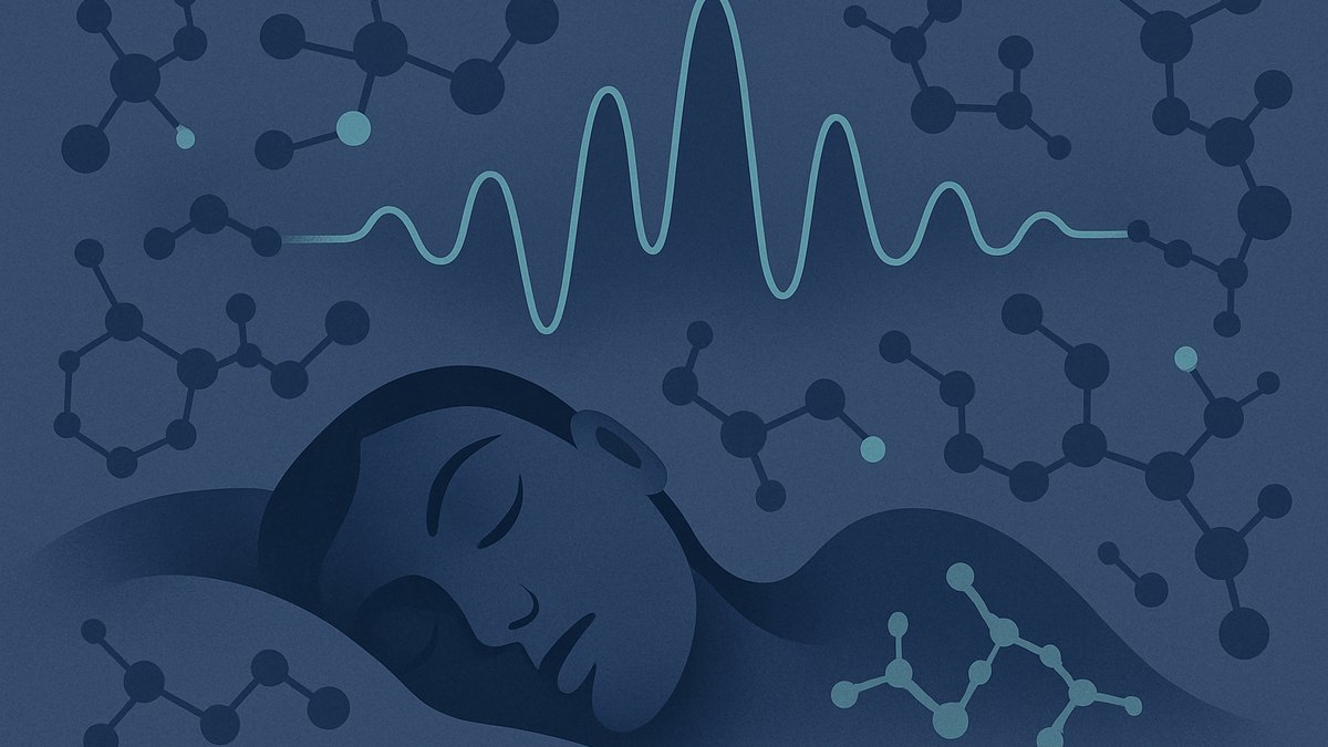 Ipamorelin and Sleep Quality Research: What Growth-Hormone Peptide Studies Show — Vialology