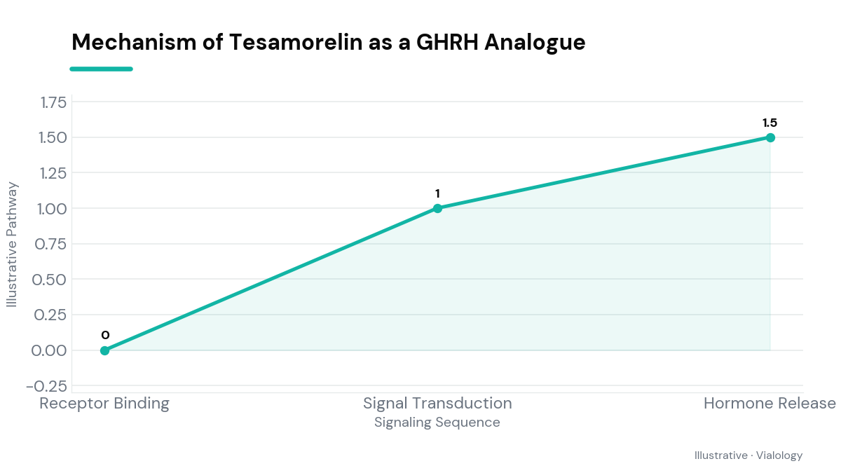 Conceptual diagram showing Tesamorelin's interaction with GHRH receptors in the pituitary gland.