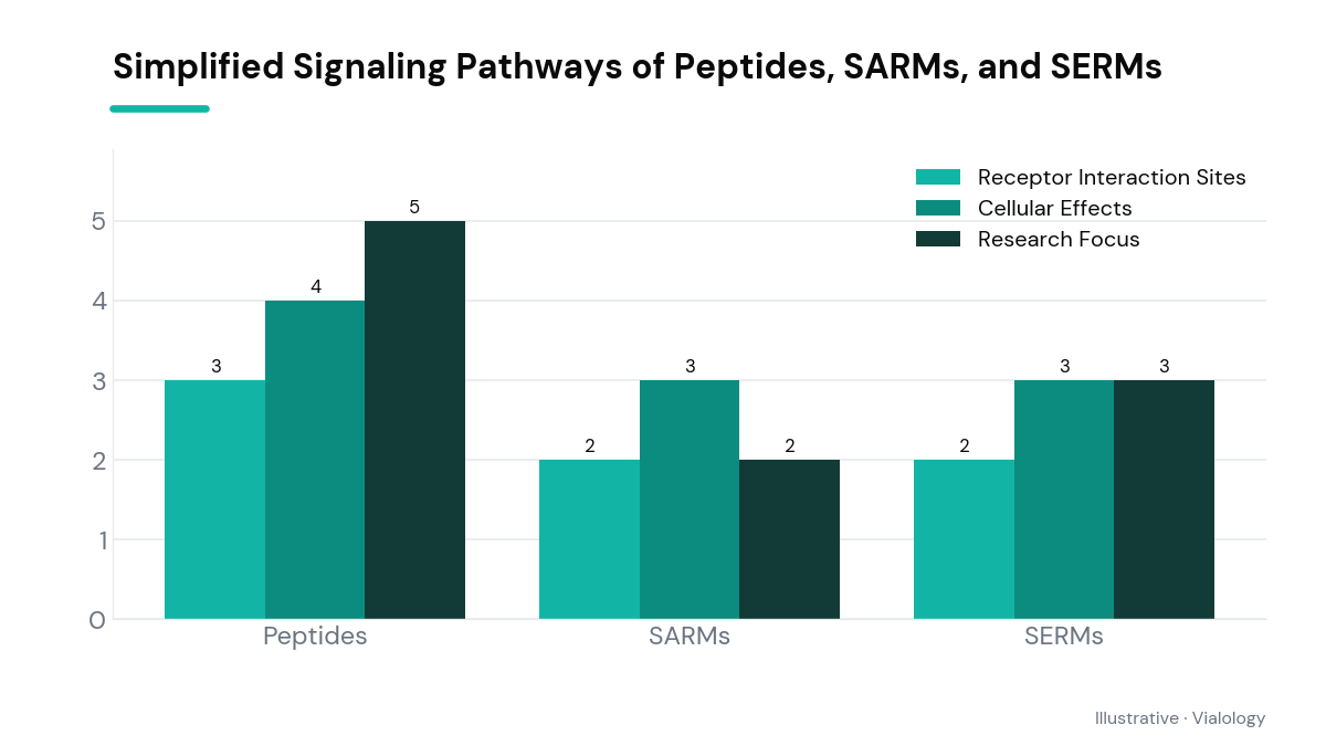 A conceptual diagram showing the interaction differences with cells by peptides, SARMs, and SERMs.