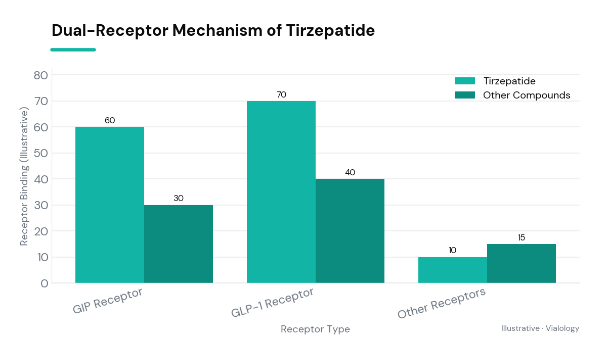 Conceptual illustration of tirzepatide binding to GIP and GLP-1 receptors.