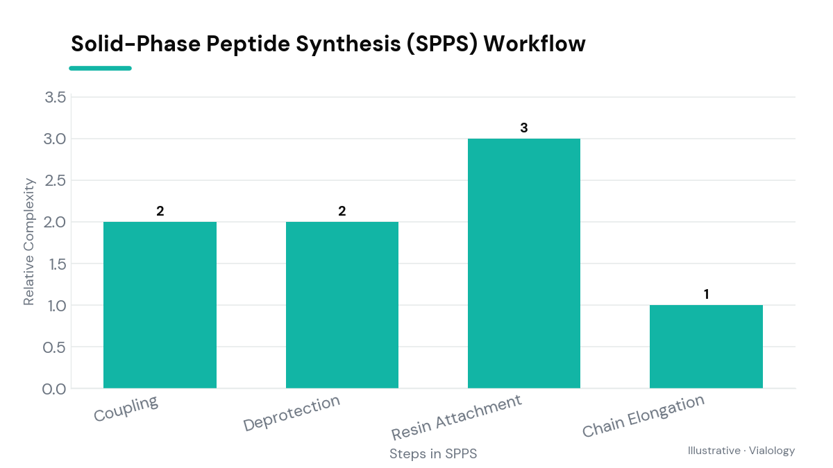 A conceptual diagram showcasing the steps involved in solid-phase peptide synthesis, from initial amino acid attachment to final chain elongation.