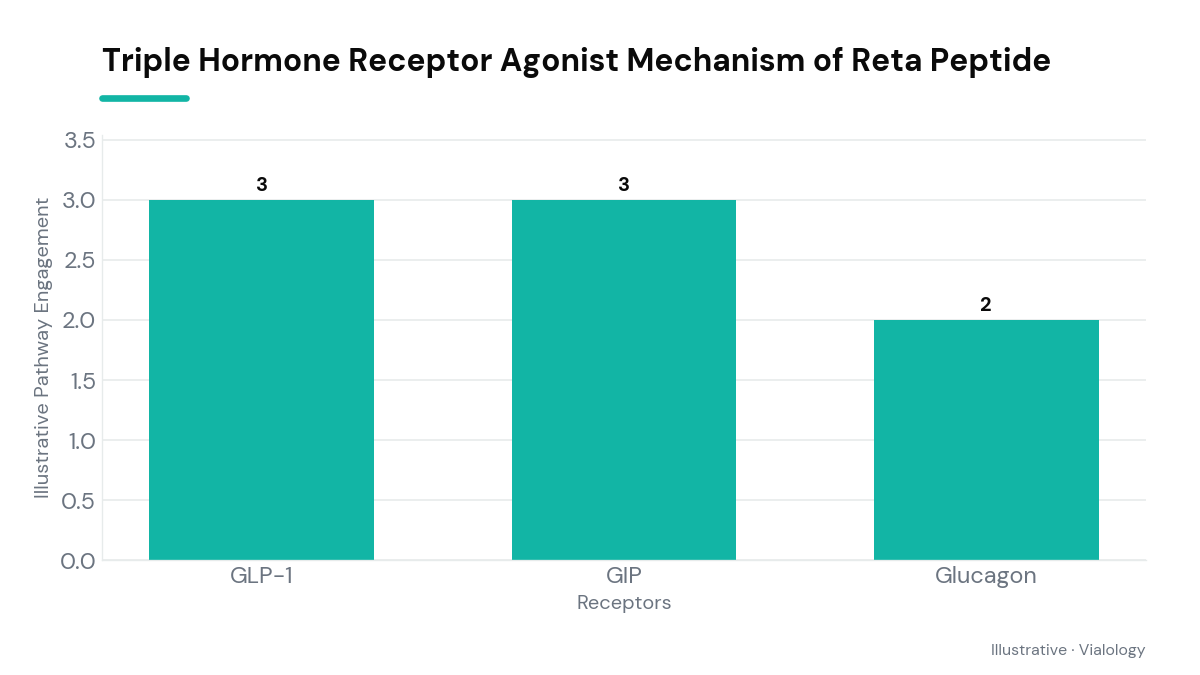 Diagram showing the action of retatrutide on the GLP-1, GIP, and glucagon receptors.