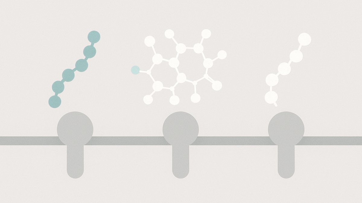 retatrutide peptide — Vialology